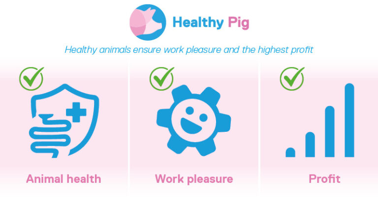 Healthy Pig animal health work pleasure farm profit