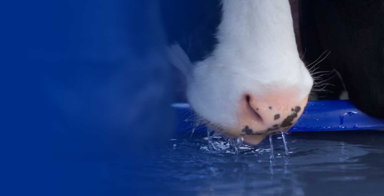 liquid minerals are easier to digest for cos and boost performance