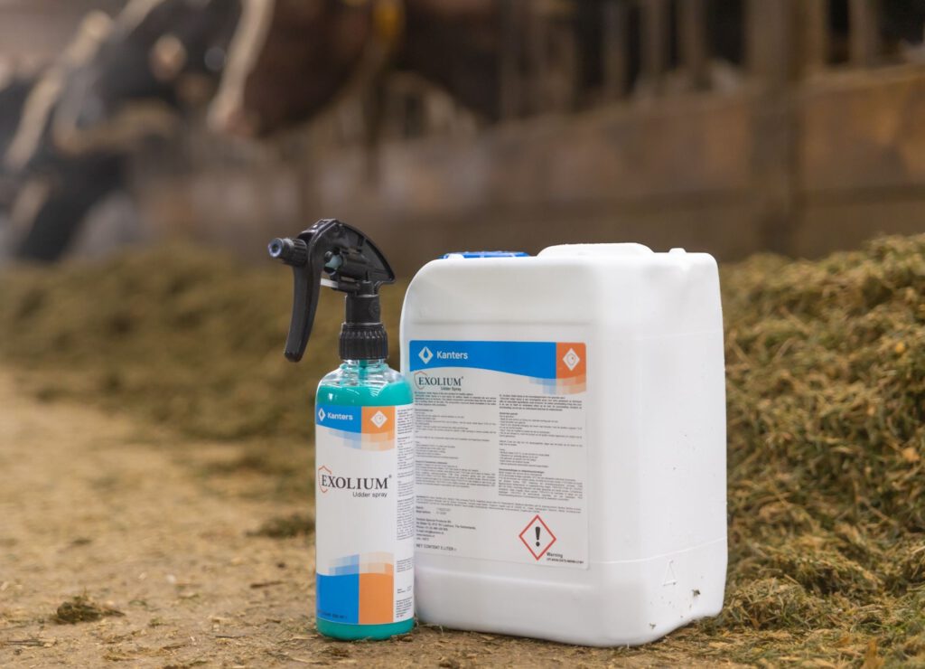 Sustainable solution for hard udders in dairy cattle